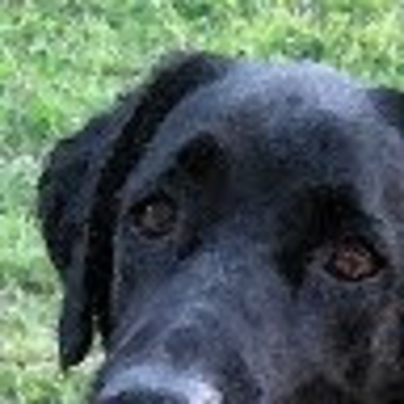 Meet your Posher, Maria - Picture 1 of 1